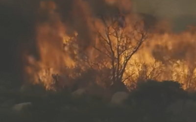 CA Slaps Parents with $675,000 Tab for Wildland Fire Their Kids Started While Camping