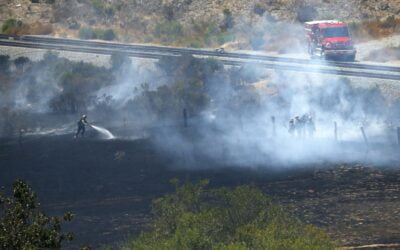 To Prevent Wildfires, San Diego (CA) Needs to Do a Better Job of Clearing Brush From City Land, Audit Finds