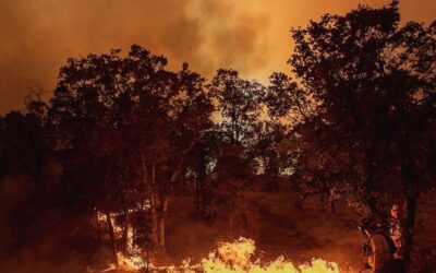 Beyond Saving Lives: Wildland Fires Put California’s Essential Resources at Risk
