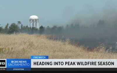 Firefighters Gain Ground on Southern California Wildfire While Yosemite Blaze Degrades Air Quality