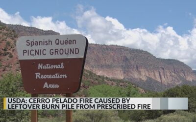 U.S. Forestry Service Started Major NM Wildfire Last Year in Prescribed Burn Gone Wrong