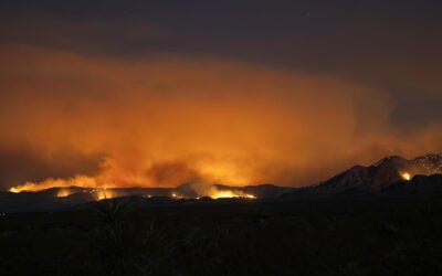York (CA) Fire Slows but Reaches 77K Acres