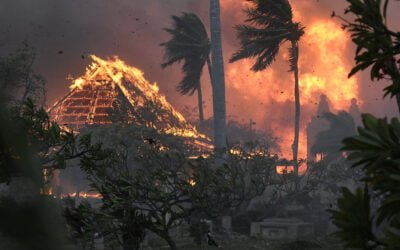 911 Calls From Maui (HI) Capture Pleas for the Stranded, the Missing, and Those Caught in the Fire’s Chaos