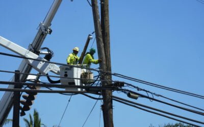 Hawaiian Electric’s Wildfire Mitigation Plan Under Scrutiny