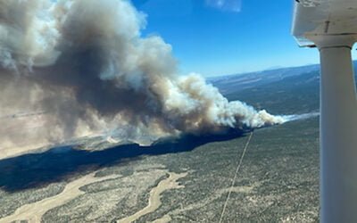 Lightning-Caused Wildfire Burning Uncontained in Northern AZ Near the UT Line