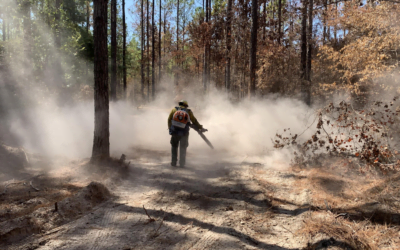 In a State Used to Hurricanes and Flooding, LA is Battling an Unprecedented Wildfire Season