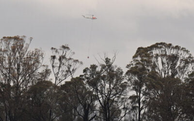 Wildfire Destroys Three Homes in Australia; Man Injured by Falling Tree
