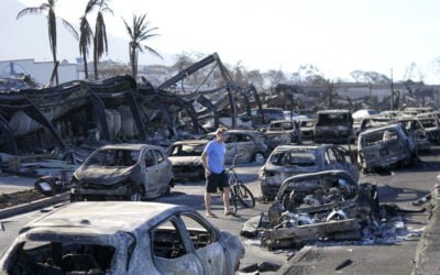 Firefighters have high levels of PFAS in aftermath of Maui (HI) fires