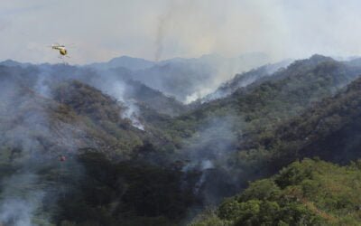 Forest Service Grants $5.6M to HI for Wildfire Preparations