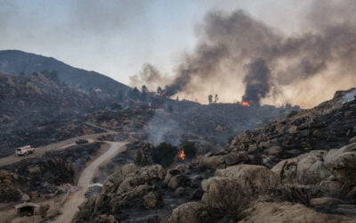 Deadly CA Fairview Fire Triggered by Sagging Edison Electrical Line