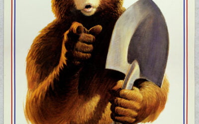 Smokey Bear Could Grace Next Custom WA License Plate