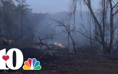 Dollywood Temporarily Suspends Park Entry Due to Nearby Wildfire