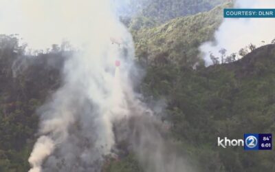 Wildfire in Mountainous Central Oahu Moves Away From Towns As HI Firefighters Continue Battle