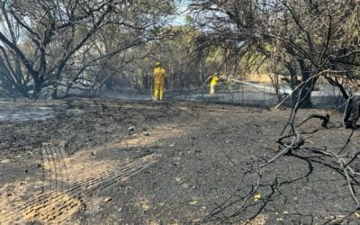 Firefighters Extinguish Small Maui Wildfire That Broke Out During Wind Warning