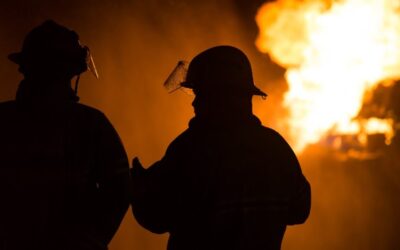Australian Firefighter Killed by Falling Tree