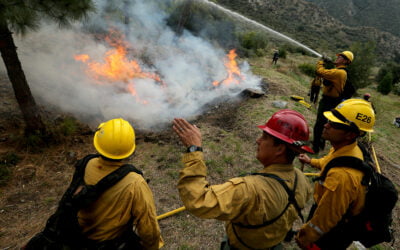 After a Mild Fire Year, CA Crews Look Ahead to 2024