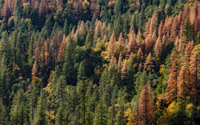 US Touts New Era of Collaboration With Native American Tribes To Manage Public Lands