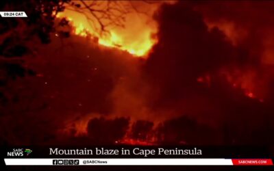 Firefighters Battle a Wildfire on the Slopes of a Mountain Near Cape Town in South Africa