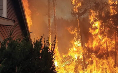 Wildland Urban Interface Fires