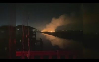 Fireworks Over New Year’s Holiday Likely Sparked LA Marsh Fire