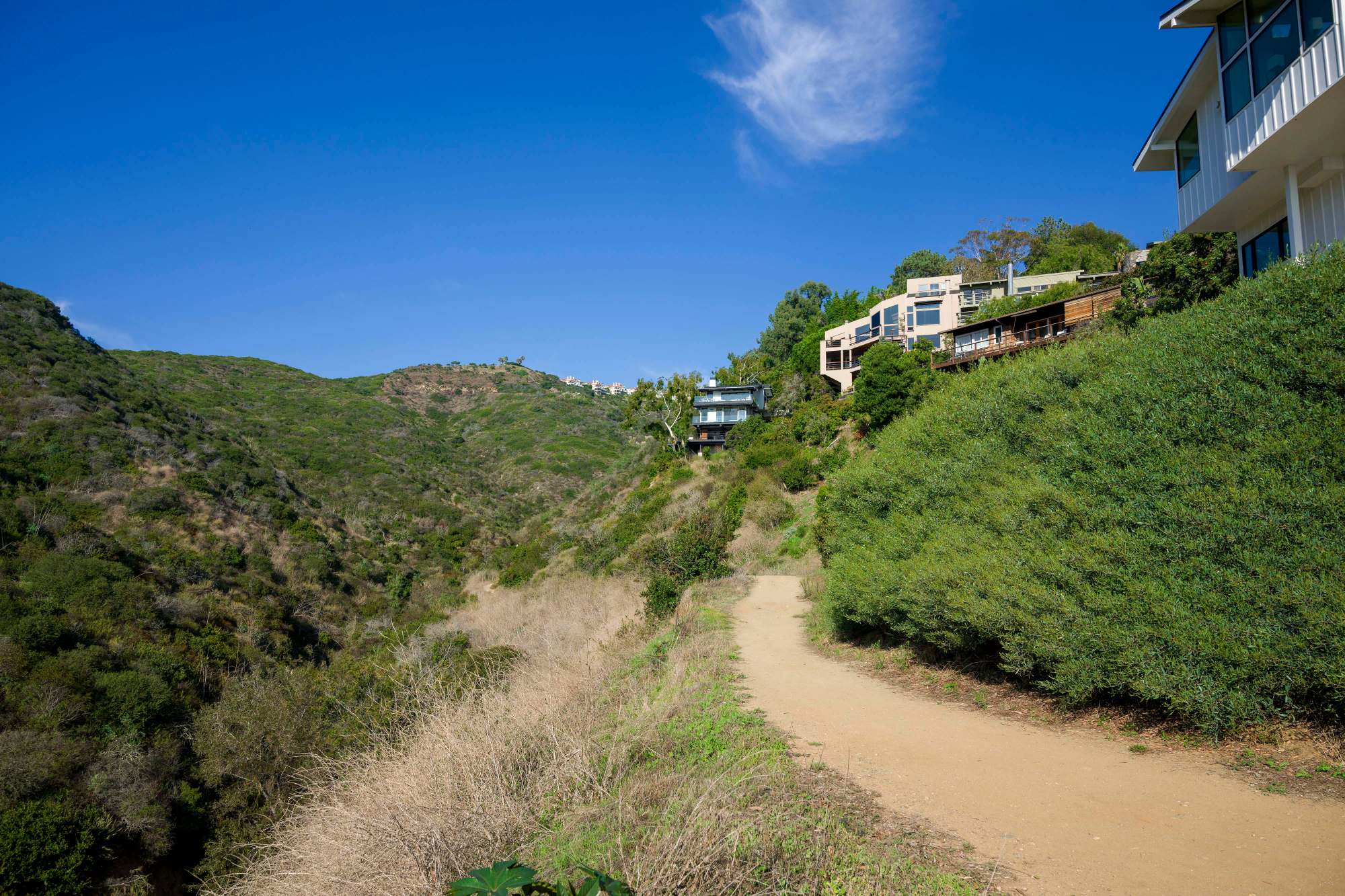 Laguna Beach wildfire prep