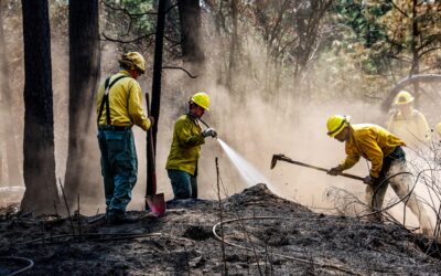 Sparks From Light Caused Gray (WA) Fire, DNR Investigation Finds