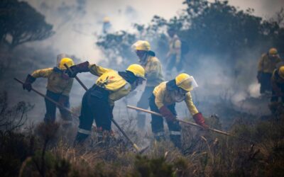 South Africa Evacuates Small Coastal Communities Near Cape Town as Wildfires Burn Out of Control