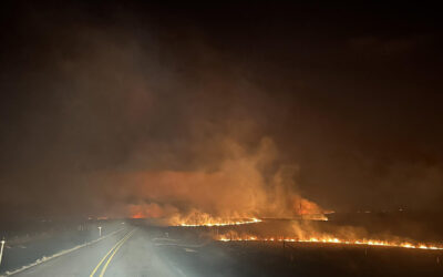 A Committee Finds a Decayed and Broken Utility Pole Caused the Largest Wildfire in TX History
