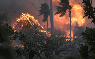 Parties in Lawsuits Seeking Damages for Maui Fires Reach $4B Global Settlement, Filings Say