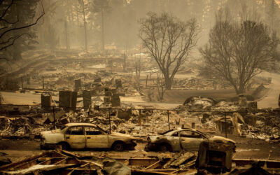 State Farm Discontinuing 72,000 Home Policies in CA in Latest Blow to State Insurance Market
