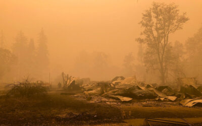 PacifiCorp Ordered to Pay OR Wildfire Victims Another $42M