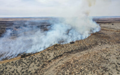 Officials: Power Lines Ignited Largest Wildfire in TX History