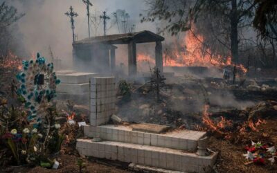Forest Fires Burn in Nearly Half of Mexico’s Drought-Stricken States, Fueled by Strong Winds