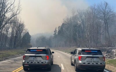 Crews Battle Scores of Wildfires in VA, Including a Blaze in Shenandoah National Park
