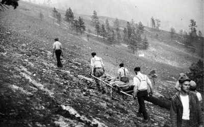 Lessons Learned from Line-of-Duty Deaths in the Wildland
