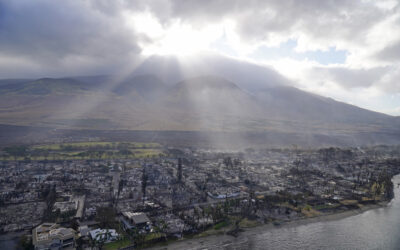 One Year After Devastating Lahaina (HI) Fire, Relief Efforts Continue