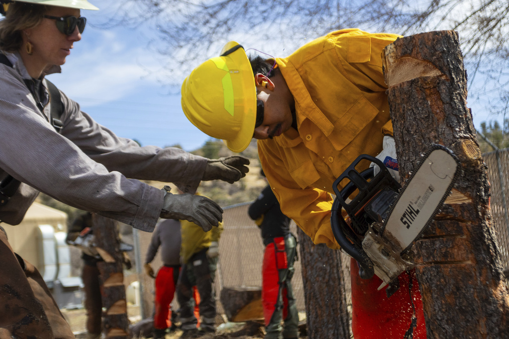 US Wildfires Are Getting Bigger and More Complex, Changing Firefighting Workforce