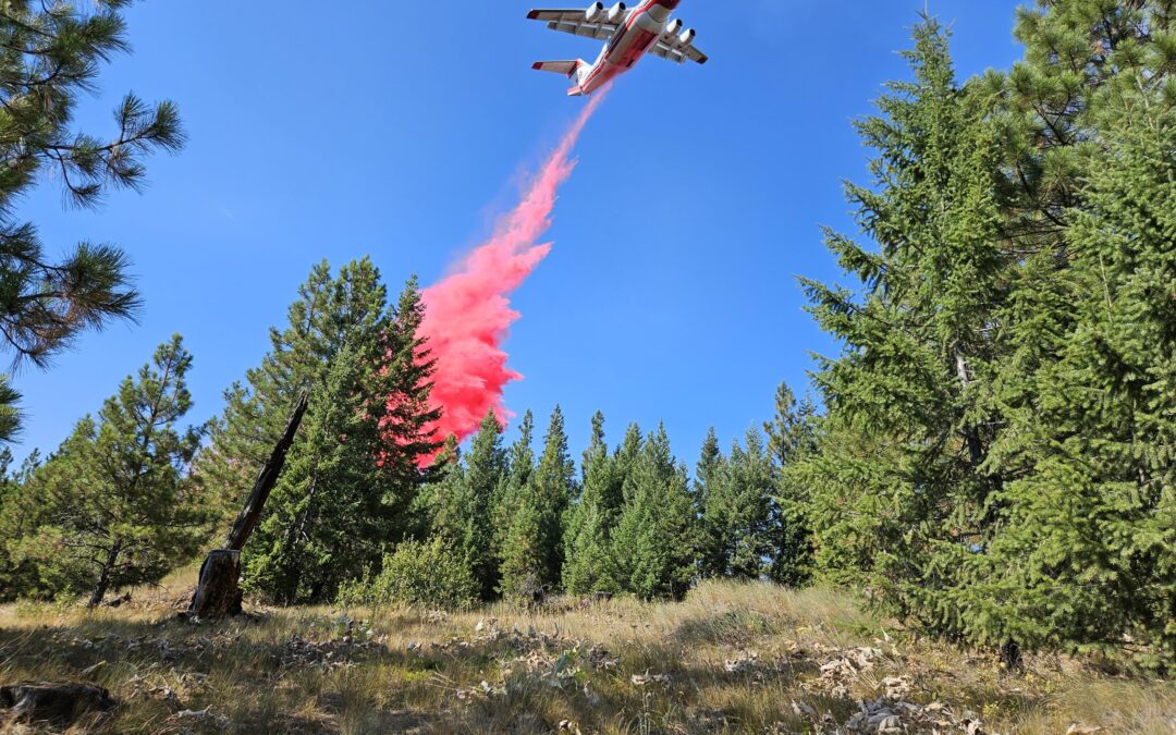Corrosion Linked to New Fire Retardant Grounds Two Air Tankers as Forest Service Investigates
