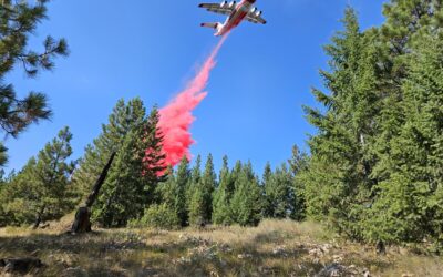 MT Senator, Who Started Aerial Firefighting Company, Wants to End USFS Aircraft Inspections