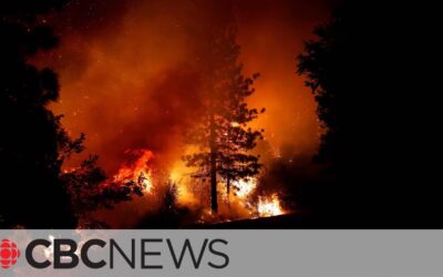 Drought, Heat Raise the Risk of a Repeat of Canada’s Record-Breaking Wildfires Last Year
