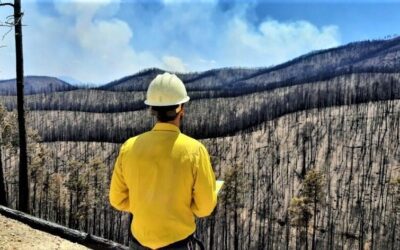 Forest Service Seeks Safer, Smarter Way To Burn After Hermits Peak/Calf Canyon (NM) Fire