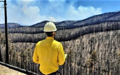 Forest Service Seeks Safer, Smarter Way To Burn After Hermits Peak/Calf Canyon (NM) Fire