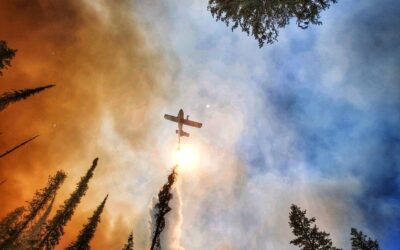 TX Emergency Management Chief Believes the State Needs Its Own Firefighting Aircraft
