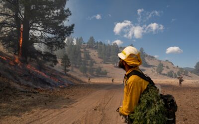 15-Year Plan Calls for Burning 74,000 Acres North of Los Alamos (NM)