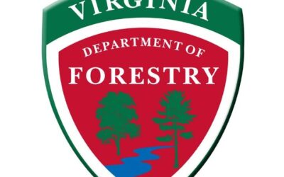VA Firefighter Collapses and Dies While Battling Wildfire