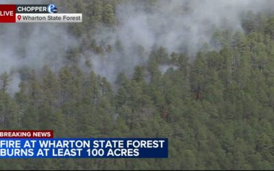 Wildfire Rips Through Wharton (NJ) State Forest