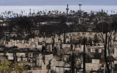 Maui (HI) Sues Cell Carriers Over Wildfire Warning Alerts That Were Never Received During Service Outages