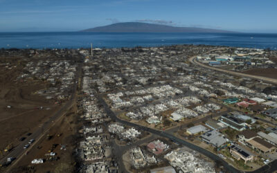 Deadly Maui (HI) Fire Erupted From Earlier Fire Believed To Have Been Extinguished, Investigation Finds