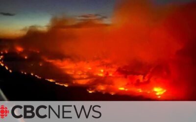 Town Prepares for Possible ‘Last Stand’ As Wildfires Rage Across Western Canada