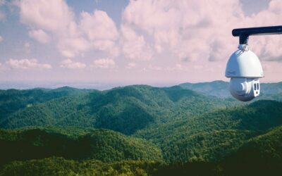 AI: A Wildland Firefighter’s New Best Friend?